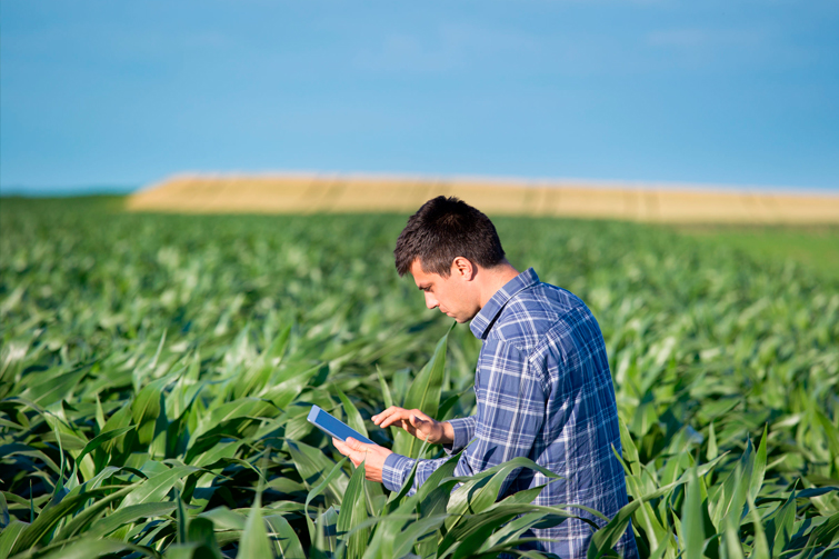 Conocimiento del Campo: Fundadores Agronomos e Inversionistas