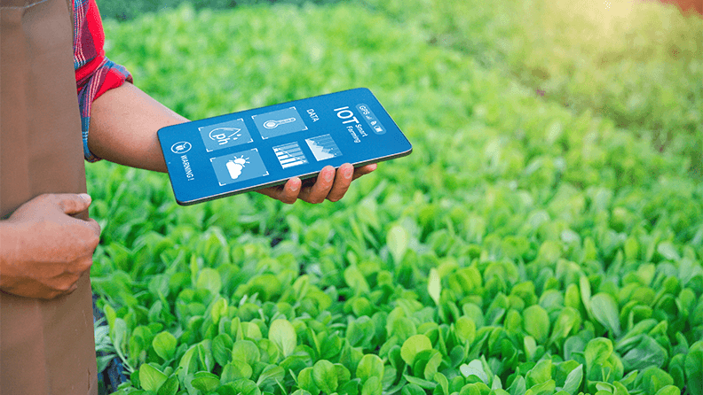 Gobierno de Datos Agrícolas: Historia de Vuelos e Información