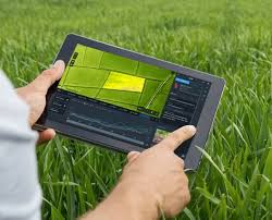 Monitoreo Automatizado: Conteos Precisos en Campo