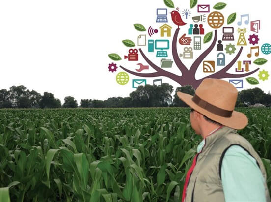 Visibilidad Objetiva en Tiempo Real: Detección de Estrés Hídrico